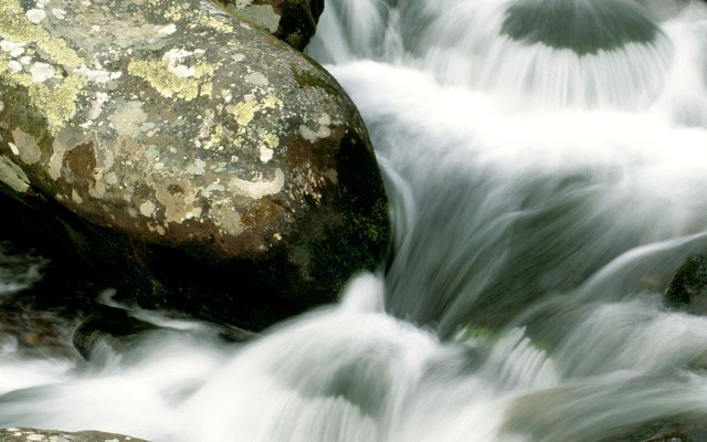 Nature. Desktop wallpaper