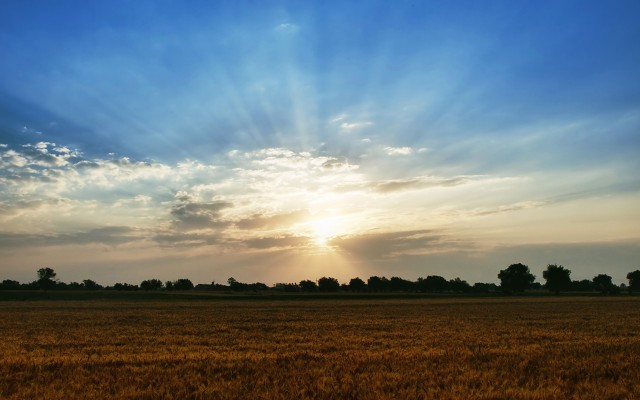 Nature. Desktop wallpaper