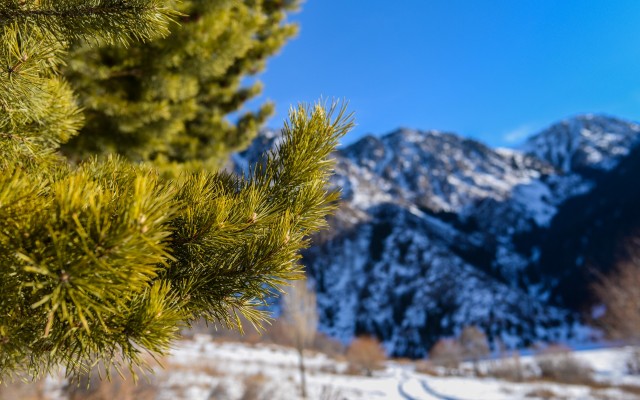 Nature. Desktop wallpaper