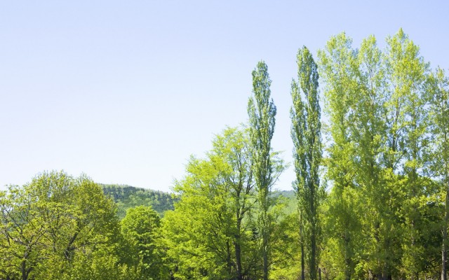 Nature. Desktop wallpaper