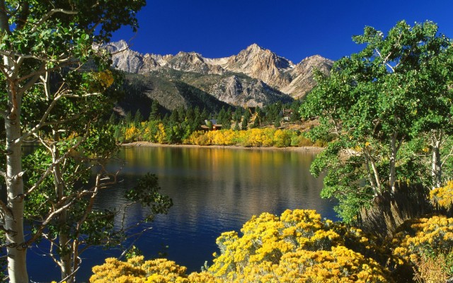 Nature. Desktop wallpaper