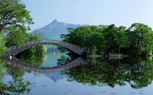 Nature. Desktop wallpaper