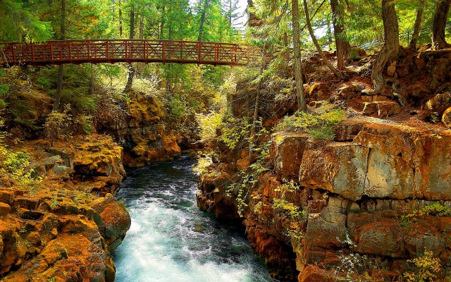 Nature. Desktop wallpaper