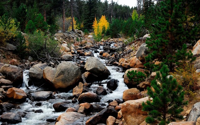 Nature. Desktop wallpaper