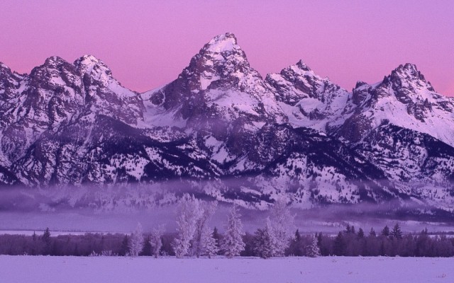 Nature. Desktop wallpaper