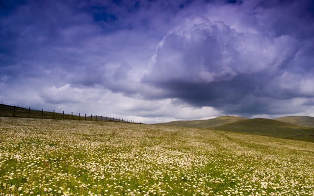 Nature. Desktop wallpaper