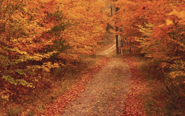 Nature. Desktop wallpaper
