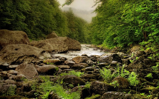 Nature. Desktop wallpaper