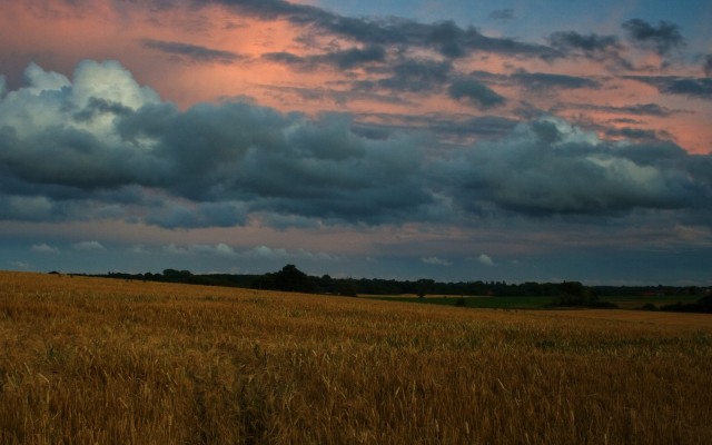 Nature. Desktop wallpaper