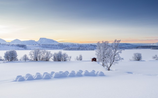 Nature. Desktop wallpaper