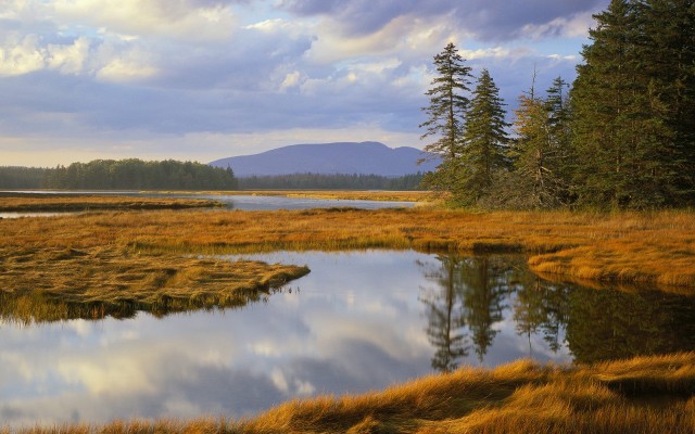 Nature. Desktop wallpaper