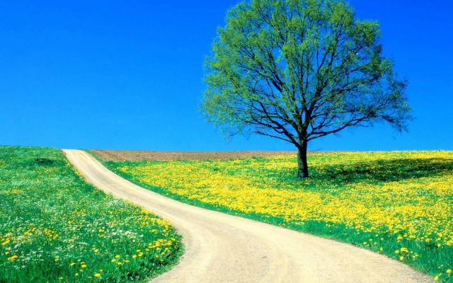 Nature. Desktop wallpaper