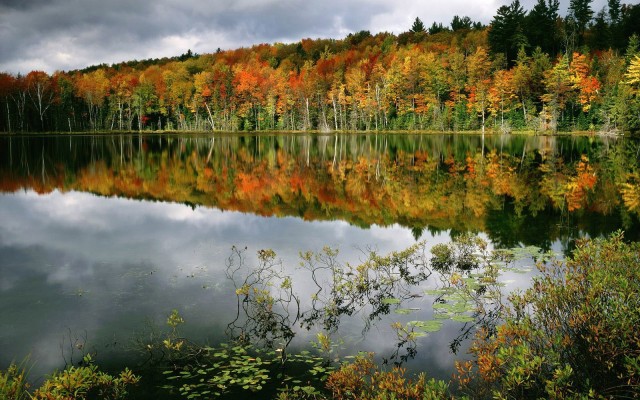 Nature. Desktop wallpaper
