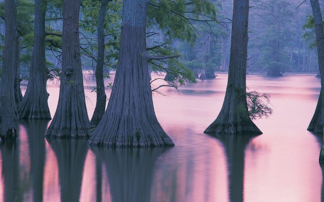 Nature. Desktop wallpaper