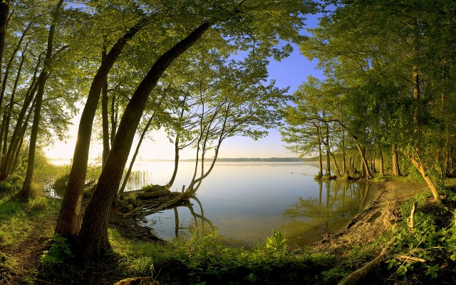 Nature. Desktop wallpaper