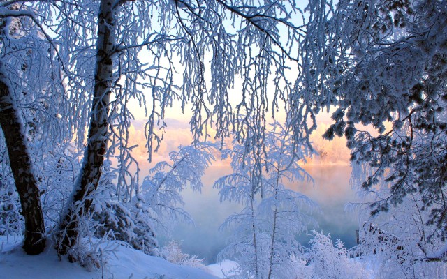 Nature. Desktop wallpaper