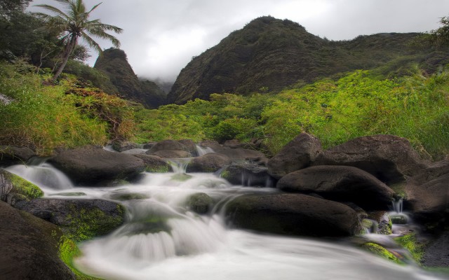 Nature. Desktop wallpaper