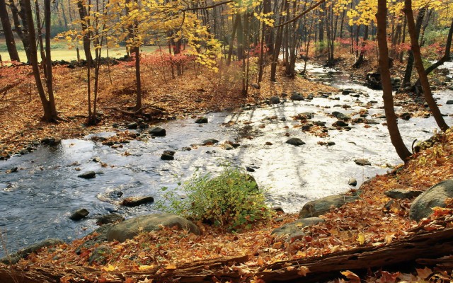 Nature. Desktop wallpaper