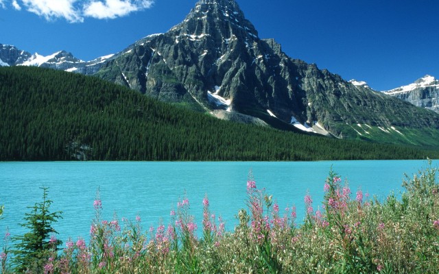 Nature. Desktop wallpaper