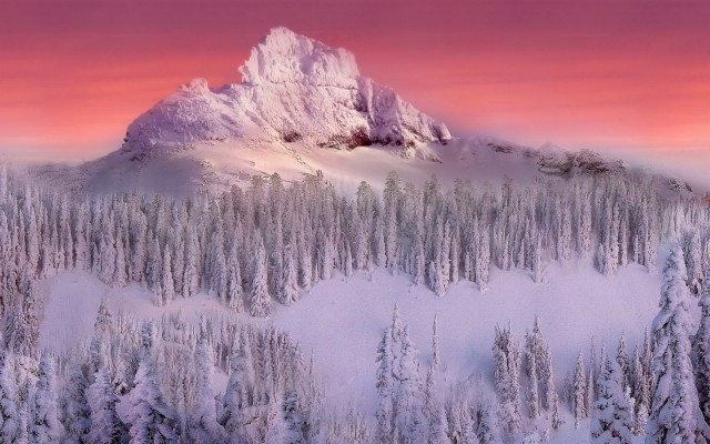 Nature. Desktop wallpaper