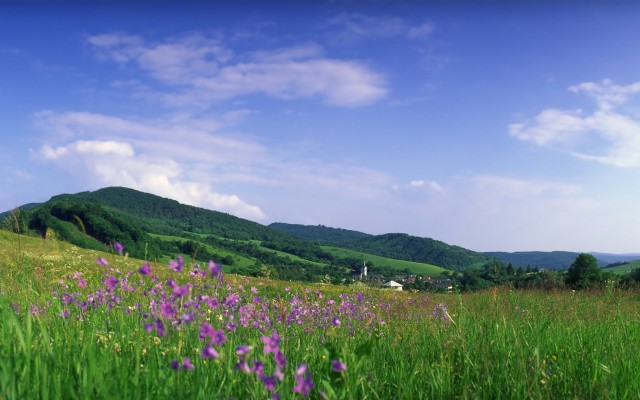 Nature. Desktop wallpaper