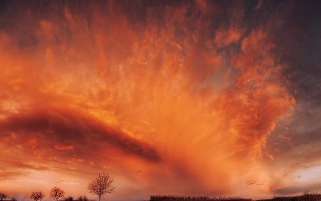 Nature. Desktop wallpaper
