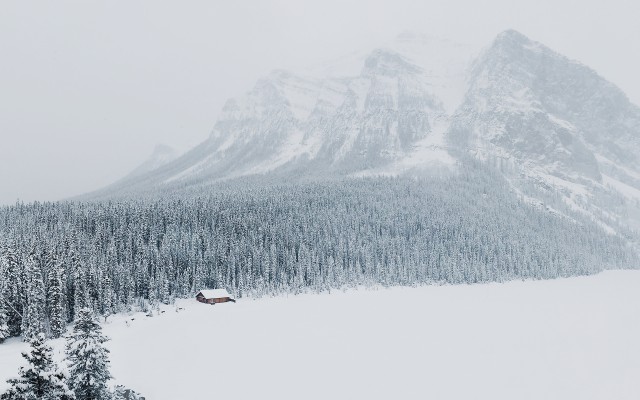 Nature. Desktop wallpaper