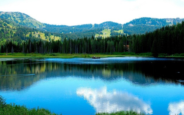 Nature. Desktop wallpaper