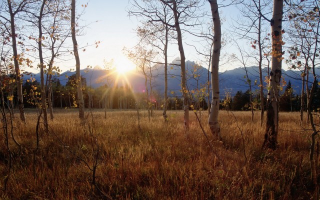 Nature. Desktop wallpaper