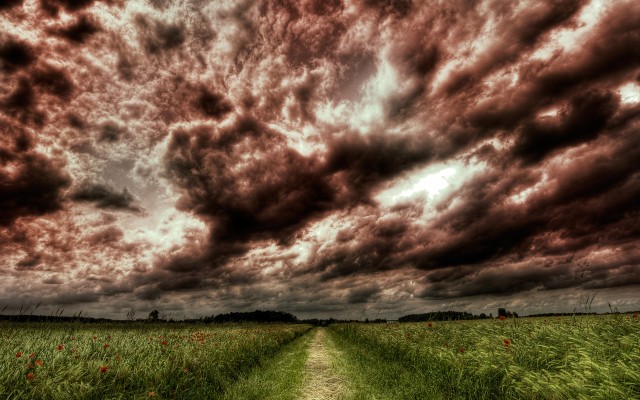 Nature. Desktop wallpaper