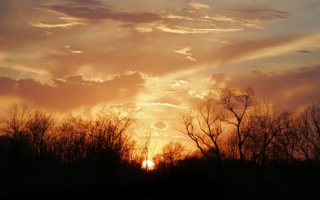 Nature. Desktop wallpaper