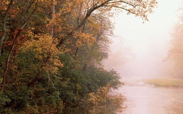 Nature. Desktop wallpaper