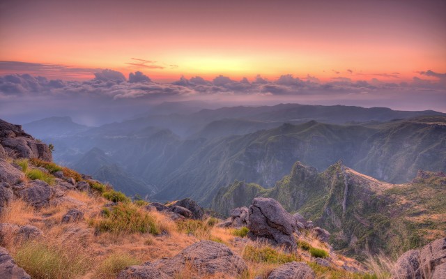 Nature. Desktop wallpaper