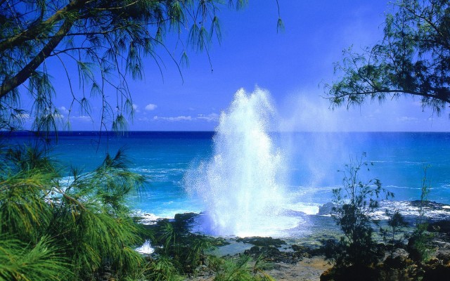 Nature. Desktop wallpaper