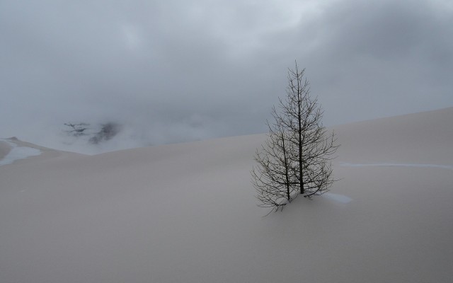 Nature. Desktop wallpaper