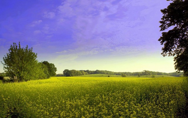Nature. Desktop wallpaper