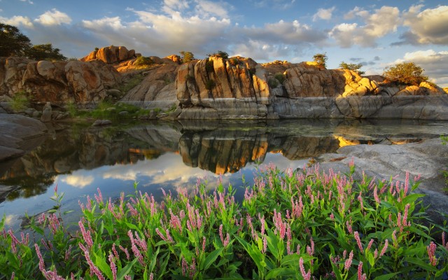 Nature. Desktop wallpaper
