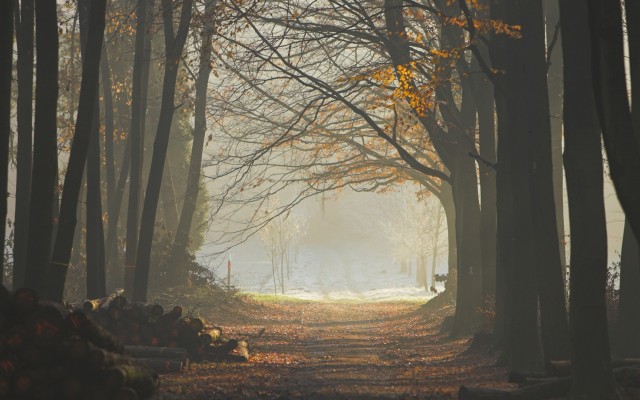 Nature. Desktop wallpaper