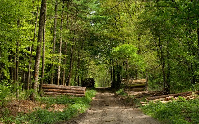 Nature. Desktop wallpaper