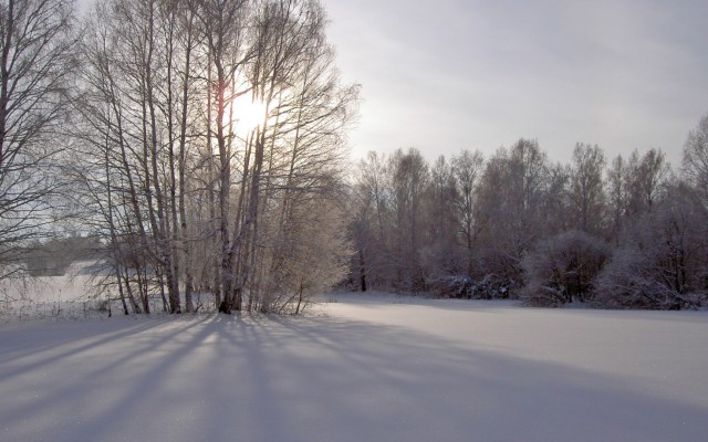 Nature. Desktop wallpaper