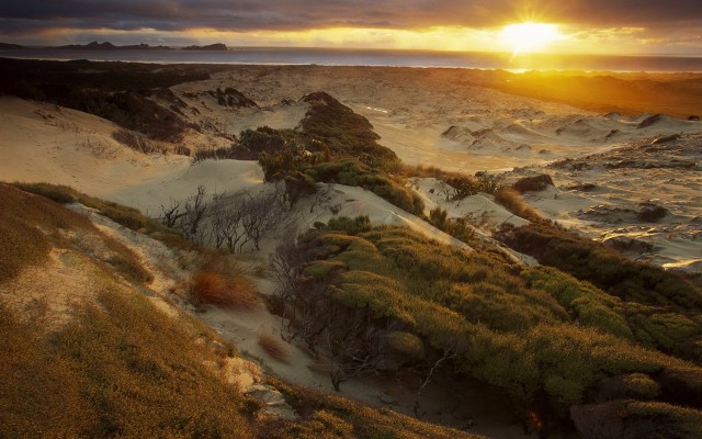 Nature. Desktop wallpaper
