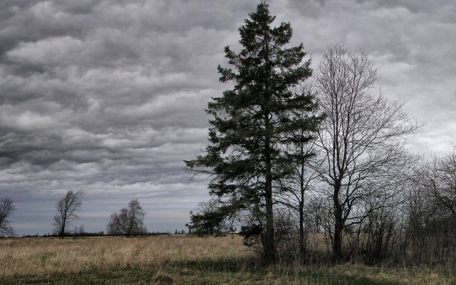 Nature. Desktop wallpaper