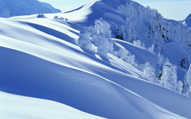 Nature. Desktop wallpaper