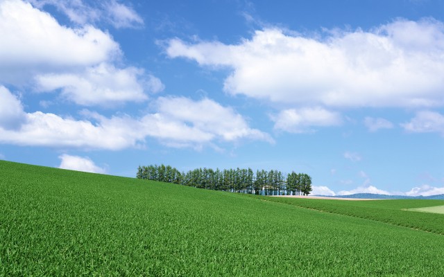 Nature. Desktop wallpaper
