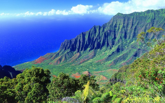 Nature. Desktop wallpaper