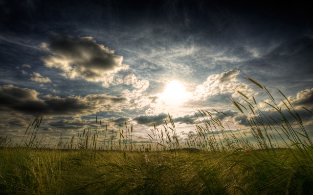 Nature. Desktop wallpaper