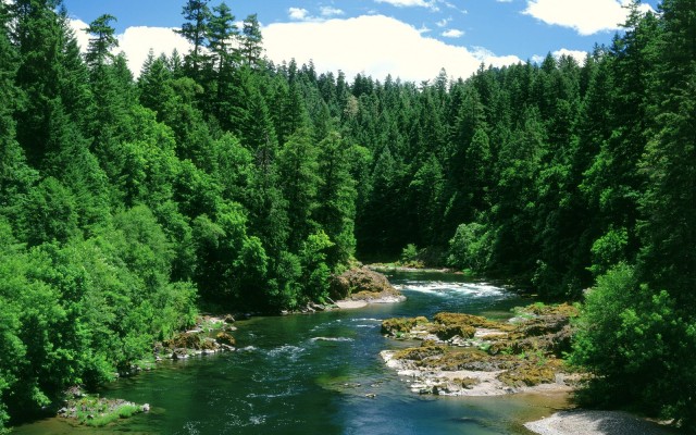 Nature. Desktop wallpaper