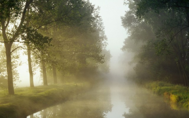 Nature. Desktop wallpaper