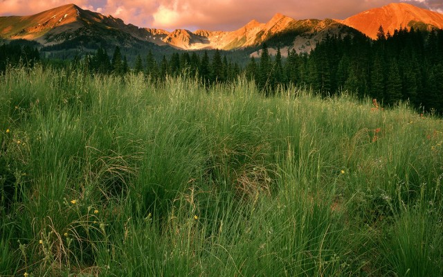 Nature. Desktop wallpaper