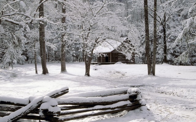 Nature. Desktop wallpaper